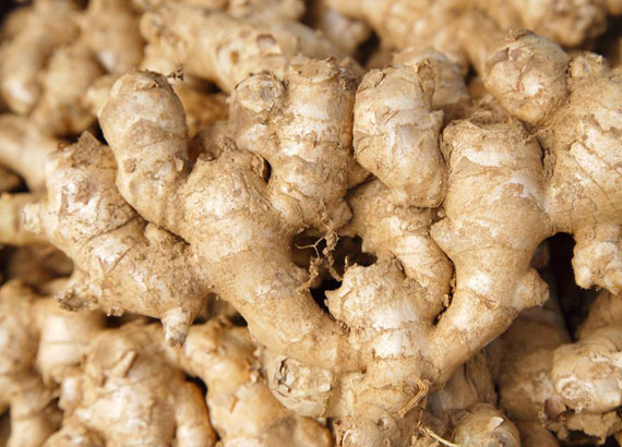 生姜價(jià)格不溫不火 后期走勢要看存儲(chǔ)和出口