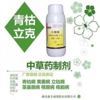 草莓根腐與炭疽的區分與防治 青枯立克