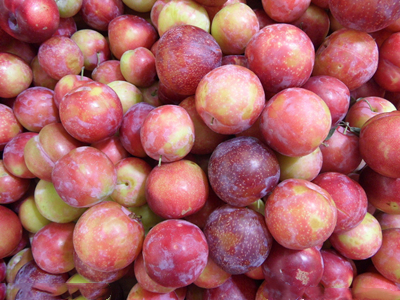 舟山時令水果上市 價格走低 舟山時令水果上市 價格走低