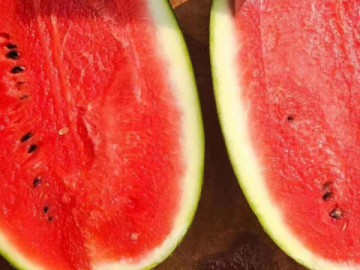 山東西瓜代辦代收/濰坊西瓜代辦代收/山東西瓜批發價格