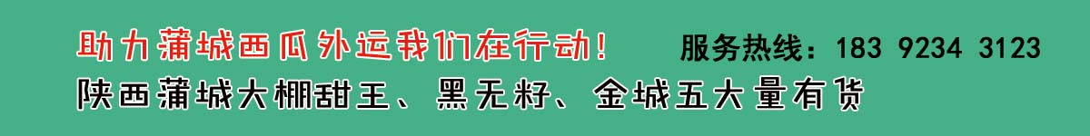 助力蒲城西瓜外銷！！！