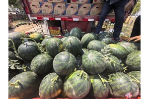 陜西蒲城幕田家寶